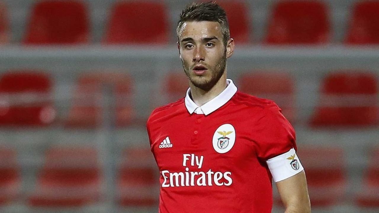 This image has an empty alt attribute; its file name is ferro.jpg