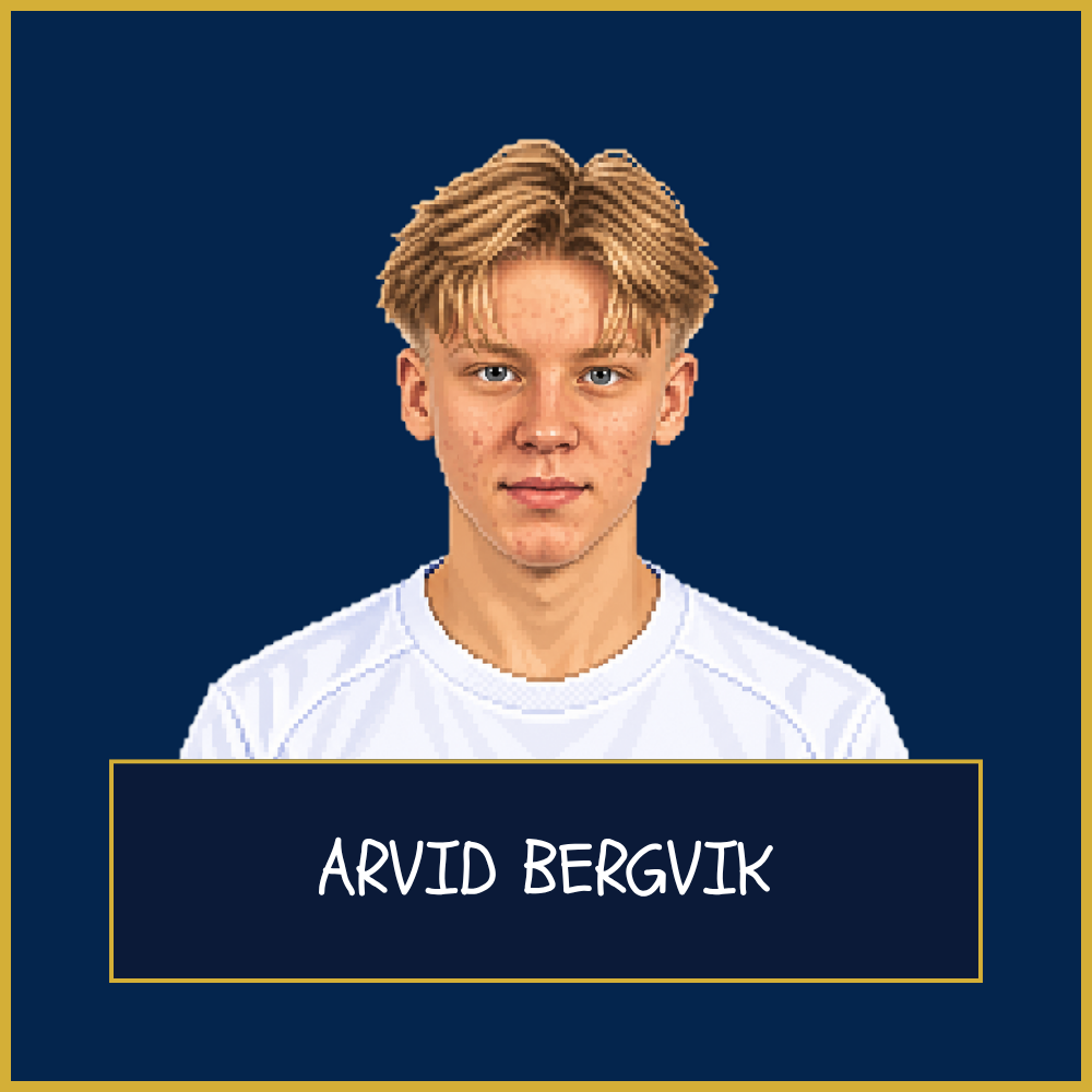 Arvid Bergvik (IFK Mariehamn) – Scout Report